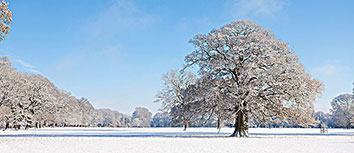 韩国劲旅表现不佳，难以破局