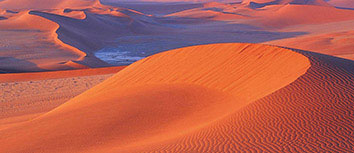 辽宁本钢公牛队新赛季表现出人意料